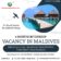 Maldives Internship
